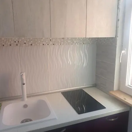 美丽海景拉斯加乐塔斯可爱一室公寓 公寓 *